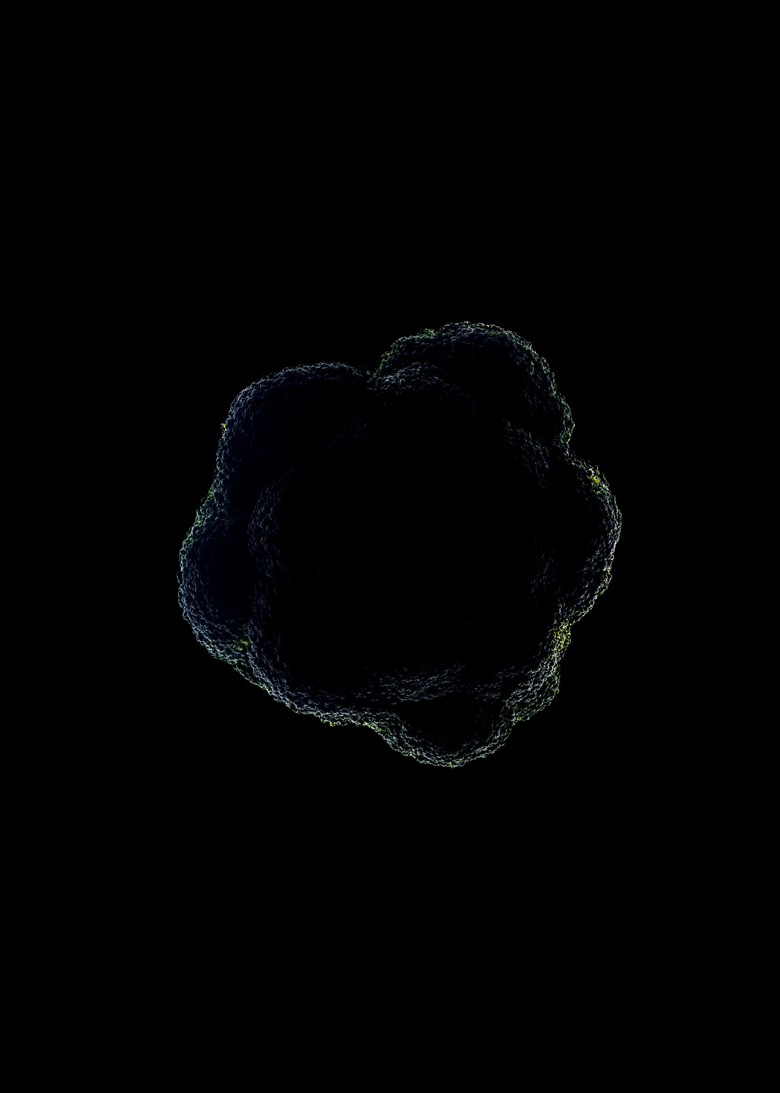http://img.b2bpic.net/free-photo/broccoli-silhouette-isolated-black_171337-11068.jpg